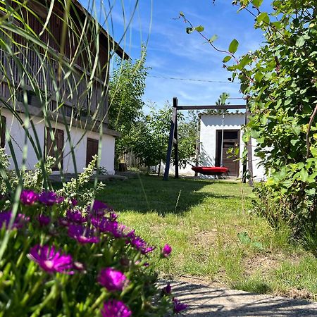 Nest Apartman Balatonszarszo Exterior foto